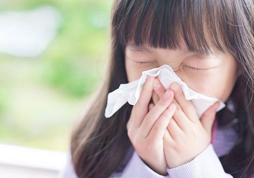 Potential Harmful Effects of Dust Inhalation and Ingestion