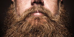 Do You Have a Beard? If So, You Might Be in the Majority Who Have Encountered This Issue…