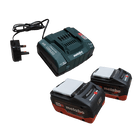 Cordless Vacuum Battery pack and charger for Starmix Vacuums.  2 x 10ah batteries